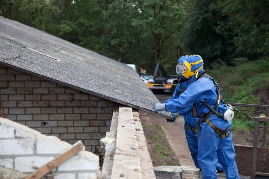 asbestos removal adeladie